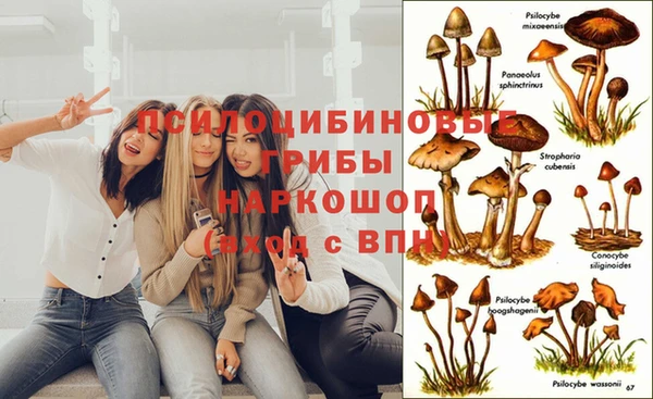 Альфа ПВП Нягань