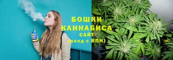 Альфа ПВП Нягань